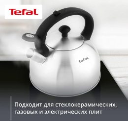 Чайник металлический Tefal Wawe N4210117 2.5л. серебристый 3110602015