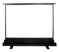 Экран Cactus FloorExpert CS-PSFLE-120X68,  120х68 см, 16:9,  напольный