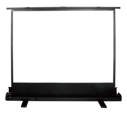 Экран Cactus FloorExpert CS-PSFLE-120X68,  120х68 см, 16:9,  напольный