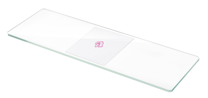 Стекла предметные Levenhuk Discovery 50