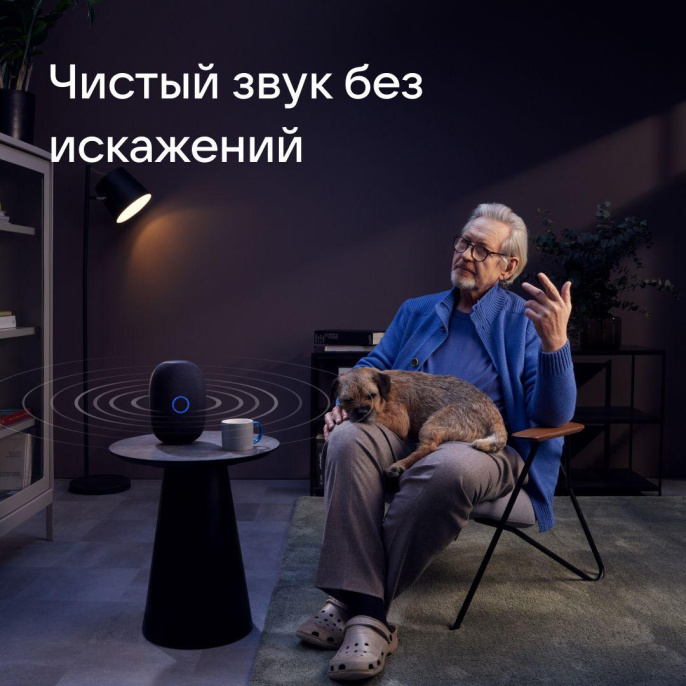 Умная колонка VK Капсула 30Вт, с Марусей, черный [mrc01bl]