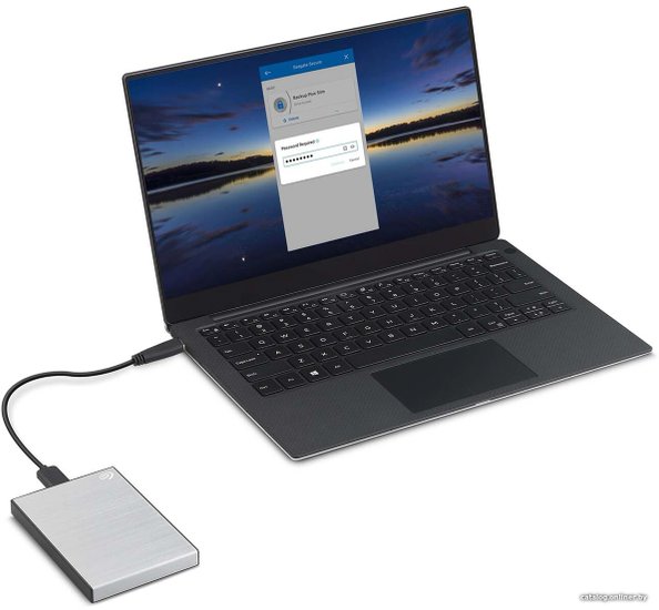 Жесткий диск Seagate USB3.0 1TB STKY1000401 One Touch 2.5" серебристый