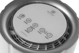 Мойка воздуха Royal Clima Incanto RAW-IN150/2.2E-WT,  белый