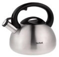 Чайник металлический Tefal C7921024 2.5л. серебристый 2100093085