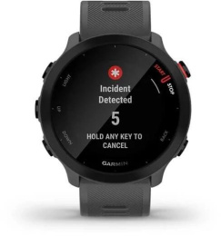 Смарт-часы Garmin Forerunner 55,  42мм,  1.04",  серый [010-02562-13]