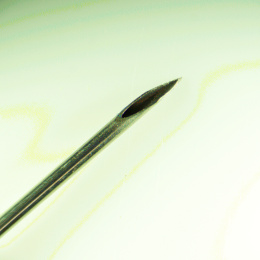 Микроскоп стереоскопический цифровой MAGUS Stereo D8T LCD PLUS