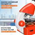 Микроскоп Levenhuk Discovery Micro Terra с книгой