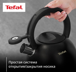 Чайник металлический Tefal Intuition N4180417 2.5л. черный 3110601825