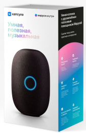 Умная колонка VK Капсула 30Вт, с Марусей, черный [mrc01bl]