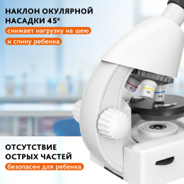 Микроскоп Levenhuk Discovery Micro Polar с книгой