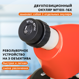 Микроскоп Levenhuk Discovery Micro Terra с книгой