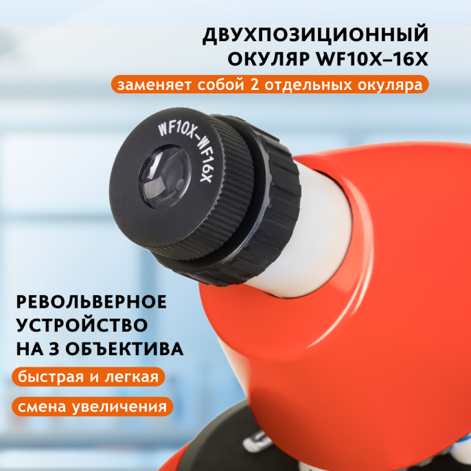 Микроскоп Levenhuk Discovery Micro Terra с книгой