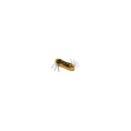 Набор шестигранников INGCO TORX T9-T40 INDUSTRIAL HHK14083