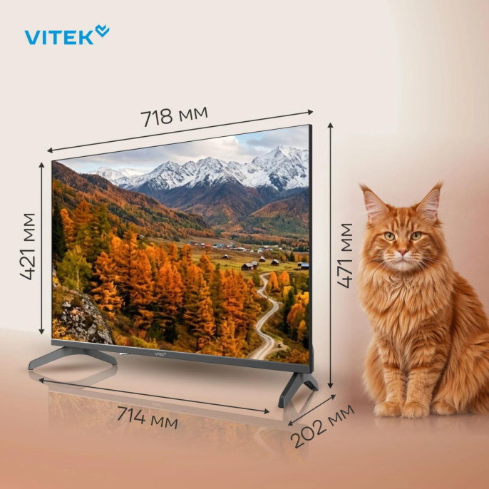 Телевизор LED Vitek 32" VT-32HBS300 Яндекс.ТВ Frameless черный HD 60Hz DVB-T DVB-T2 DVB-C DVB-S DVB-S2 USB 2.0 WiFi Smart TV