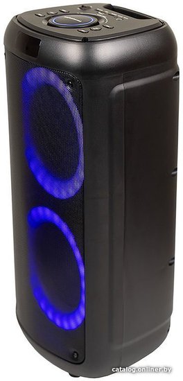 Акустическая портативная колонка Nakatomi GS-30 - 30WRMS, Караоке с беспр. микр, BTFMUSBSDLEDДУ