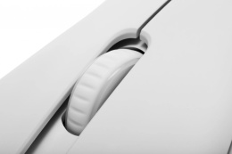 Мышь проводная Razer DeathAdder Essential, игровая, оптическая, USB, 6400dpi, белый [rz01-03850200-r3c1]