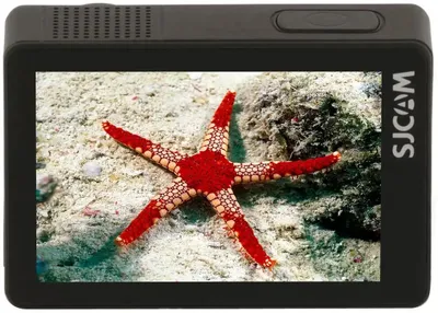 Нагрудная камера SJCAM Body camera A50. Цвет: черный