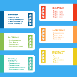 Микроскоп Levenhuk Discovery Micro Polar с книгой