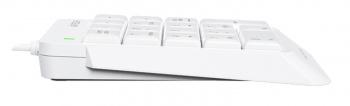 Числовой блок A4TECH Fstyler FK13P, проводная, USB, мембранная, белый [fk13p white]