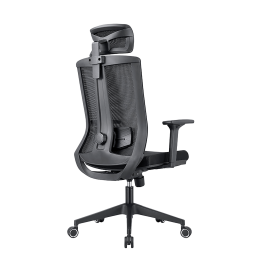 Кресло компьютерное EVOLUTION ERGO BLISS Black