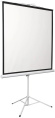 Экран на треноге Digis 135" 248x250см Kontur-D DSKD-1108 1:1 напольный рулонный белый