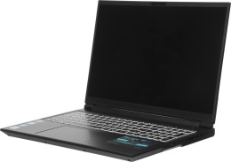 Ноутбук Thunderobot Range 16 Evo Core i5 13420H 16Gb SSD1Tb NVIDIA GeForce RTX5050 8Gb 16" IPS QHD 2560x1600 FreeDOS black WiFi BT Cam JT009P00KRU