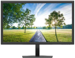 19.5" Монитор NPC MH2002-A,  1600x900,  TN,  75Гц,  1хHDMI,  черный