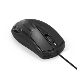 Мышь ExeGate Professional Standard SH-8025 USB, оптическая, 1000dpi, 3D, 3 кнопки и колесо прокрутки, длина кабеля 1,5м, черная, Color Box EX295306RUS