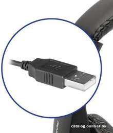 Гарнитура проводная DEFENDER Gryphon (Грифон) 750U черный (USB, кабель 1.8м) (63752)