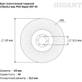 Круг лепестковый торцевой (125x22.2 мм; P60) Gigant GRF-60