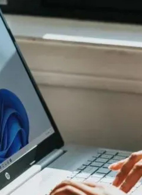 Windows 11 наконец-то обогнала Windows 10 и стала самой популярной настольной ОС в мире