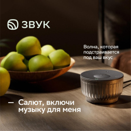 Умная колонка SBER Boom Mini 2 SBDV-00250B, 5Вт, с Салют, синий