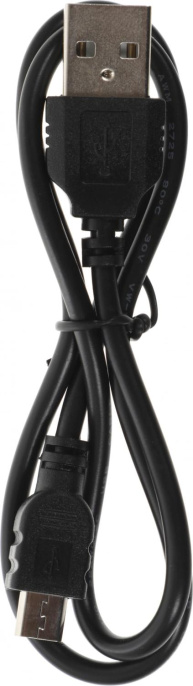 Диктофон Ritmix RR-120 8 Gb,  черный