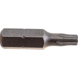 Бита Torx Tamper ТТ20, 25 мм, 2 шт. REDVERG 6623497