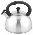 Чайник металлический Tefal Wawe N4210117 2.5л. серебристый 3110602015