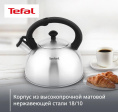 Чайник металлический Tefal Wawe N4210117 2.5л. серебристый 3110602015
