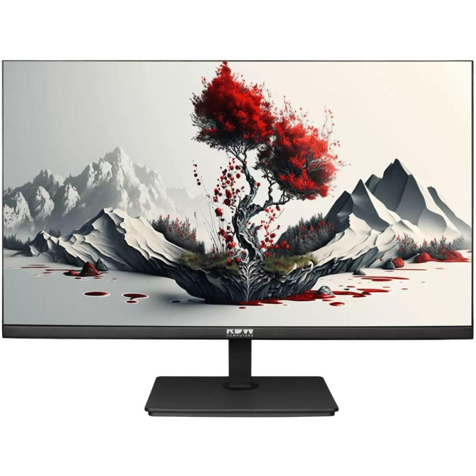 Монитор RDW Computers 23.8" RDW2401K 1920x1080 FHD IPS 100Hz 5мс 178°/178 300cd 1000:1 VGA HDMI DP наклон, внутр.БП, Динамики, черный, VESA 100*100, реестр МПТ/ 1 год гарантия RDW2401K/F00B0100V2A1