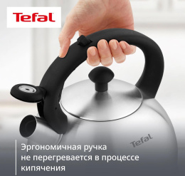 Чайник металлический Tefal Wawe N4210117 2.5л. серебристый 3110602015