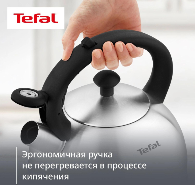 Чайник металлический Tefal Wawe N4210117 2.5л. серебристый 3110602015