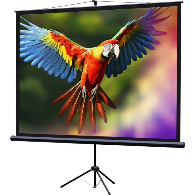 Экран на штативе Lumien LEV-100111 Eco View 153x203 см, рабочая область 147x197 см, Matte White, 4:3 6 121538