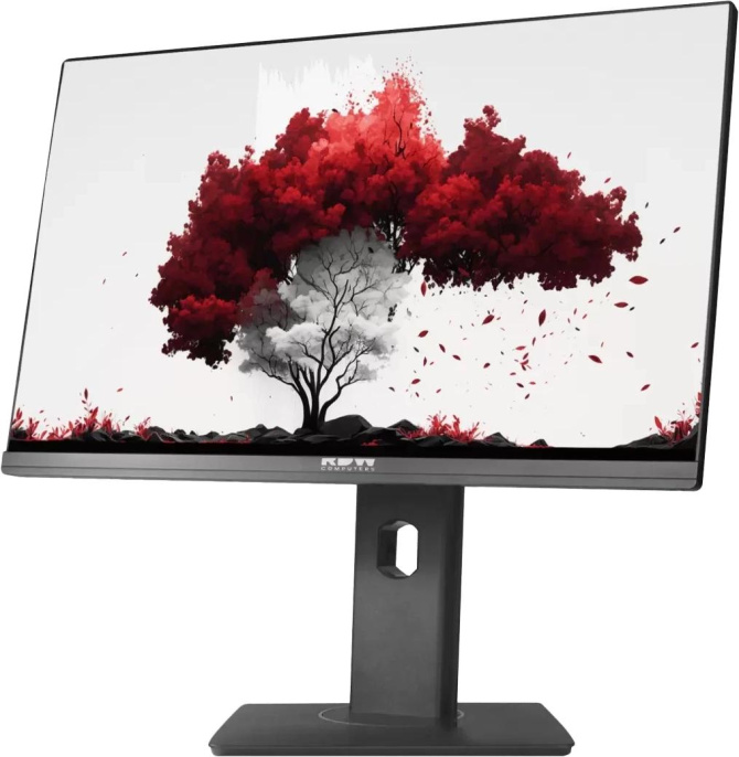 23.8" Монитор RDW COMPUTERS RDW2402K/F00B3, "R", 1920x1080, IPS, 75Гц, 1хHDMI, 1хDP, черный
