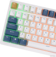 Клавиатура Royal Kludge RK98 (белый/голубой/коричневый, механическая, USB/2.4 GHz/Bluetoth, подсветка RGB, горячая замена клавиш Hot Swap, коричневые свичи)