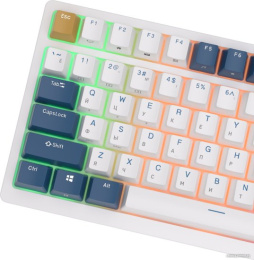 Клавиатура Royal Kludge RK98 (белый/голубой/коричневый, механическая, USB/2.4 GHz/Bluetoth, подсветка RGB, горячая замена клавиш Hot Swap, коричневые свичи)