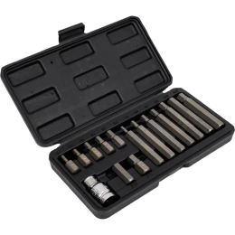 Набор бит НЕХ (15 шт, Н4-Н12) в пластмассовом боксе VOREL 66720