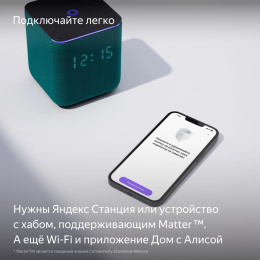 Умная розетка ЯНДЕКС Matter,  EU,  Wi-Fi,  черный [yndx-00540blk]