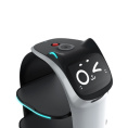 Сервисный робот-доставщик PuduRobotics модели BellaBot BL101