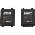 Профессиональный лазерный уровень Gigant 4D 16 линий GBLL-10