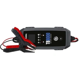 Умное зарядное устройство Topdon TB8000