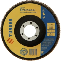 Круг лепестковый торцевой конический (115х22 мм; Р100) ТУНДРА 1857748