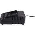 Зарядное устройство WORX Professional WA3924